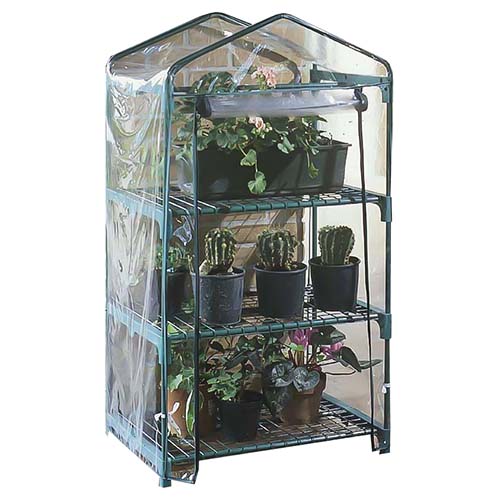 Serre azalea 3 piani 2492 125h